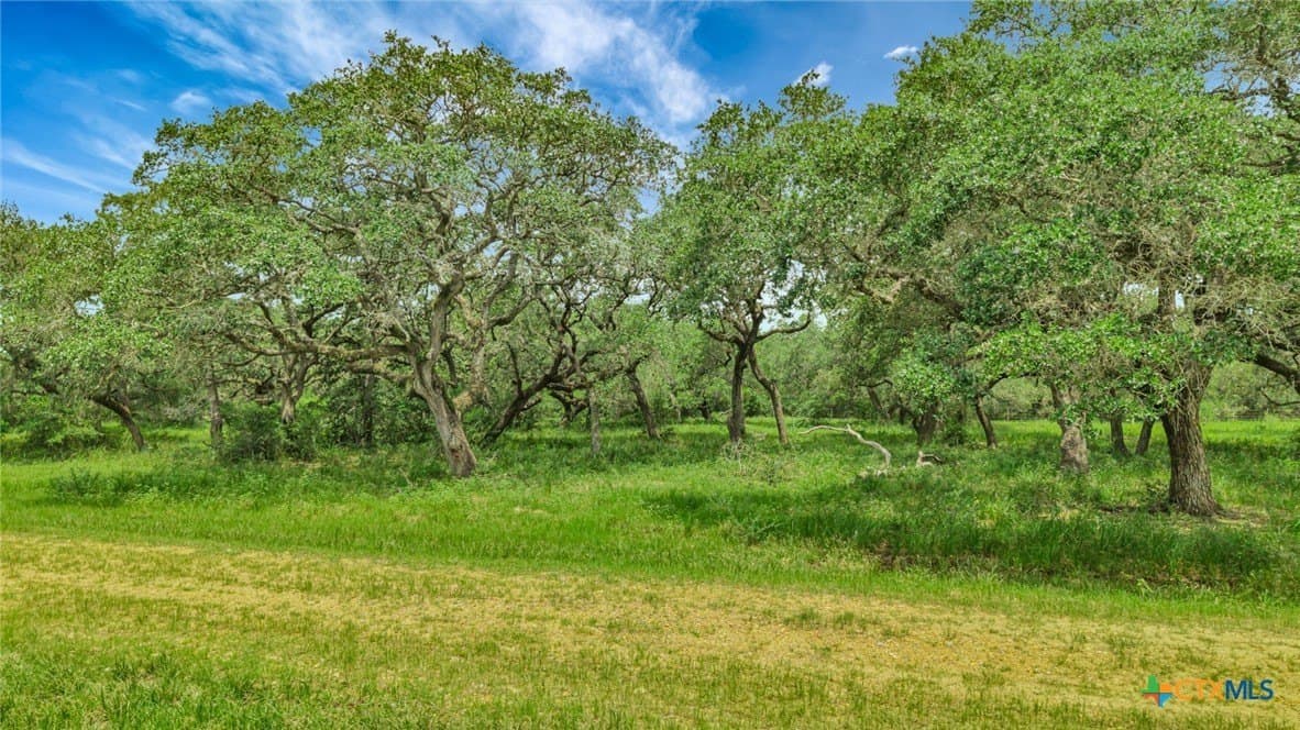 66.91 acres in Victoria County