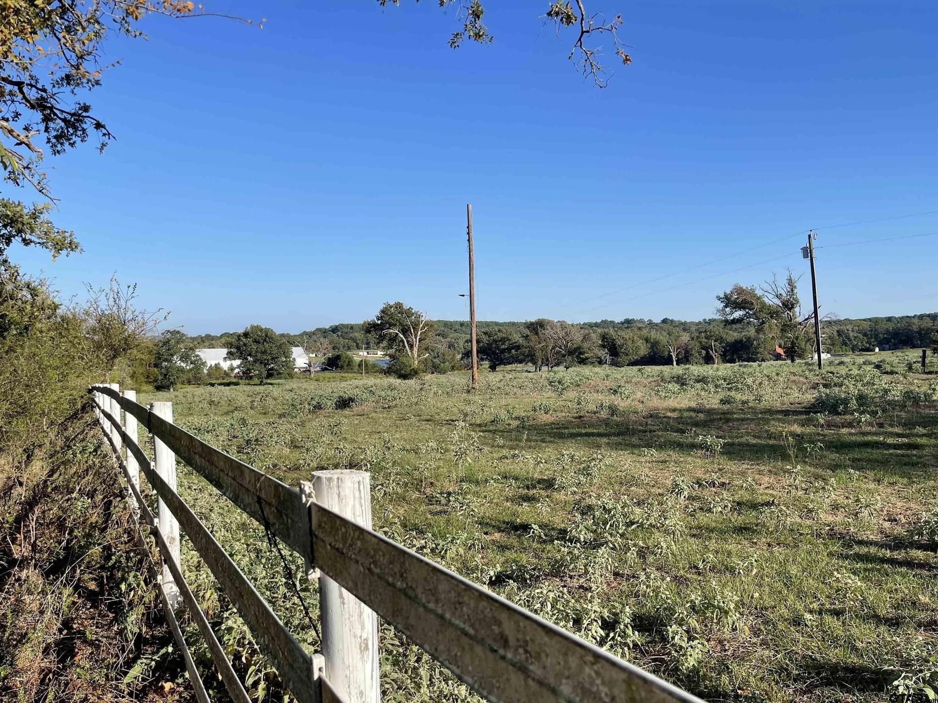 30 acres in Henderson County