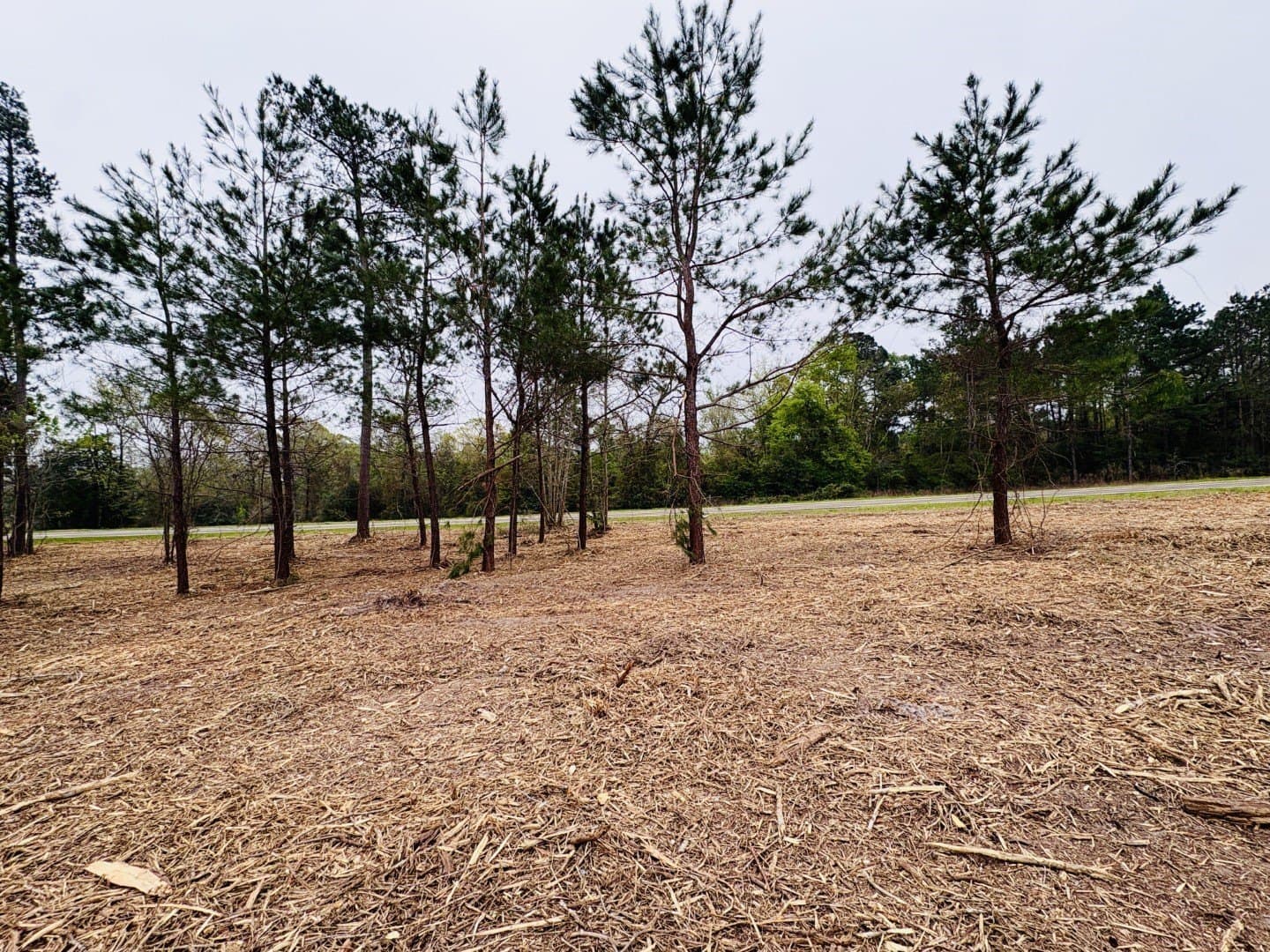 21 acres in Shelby County