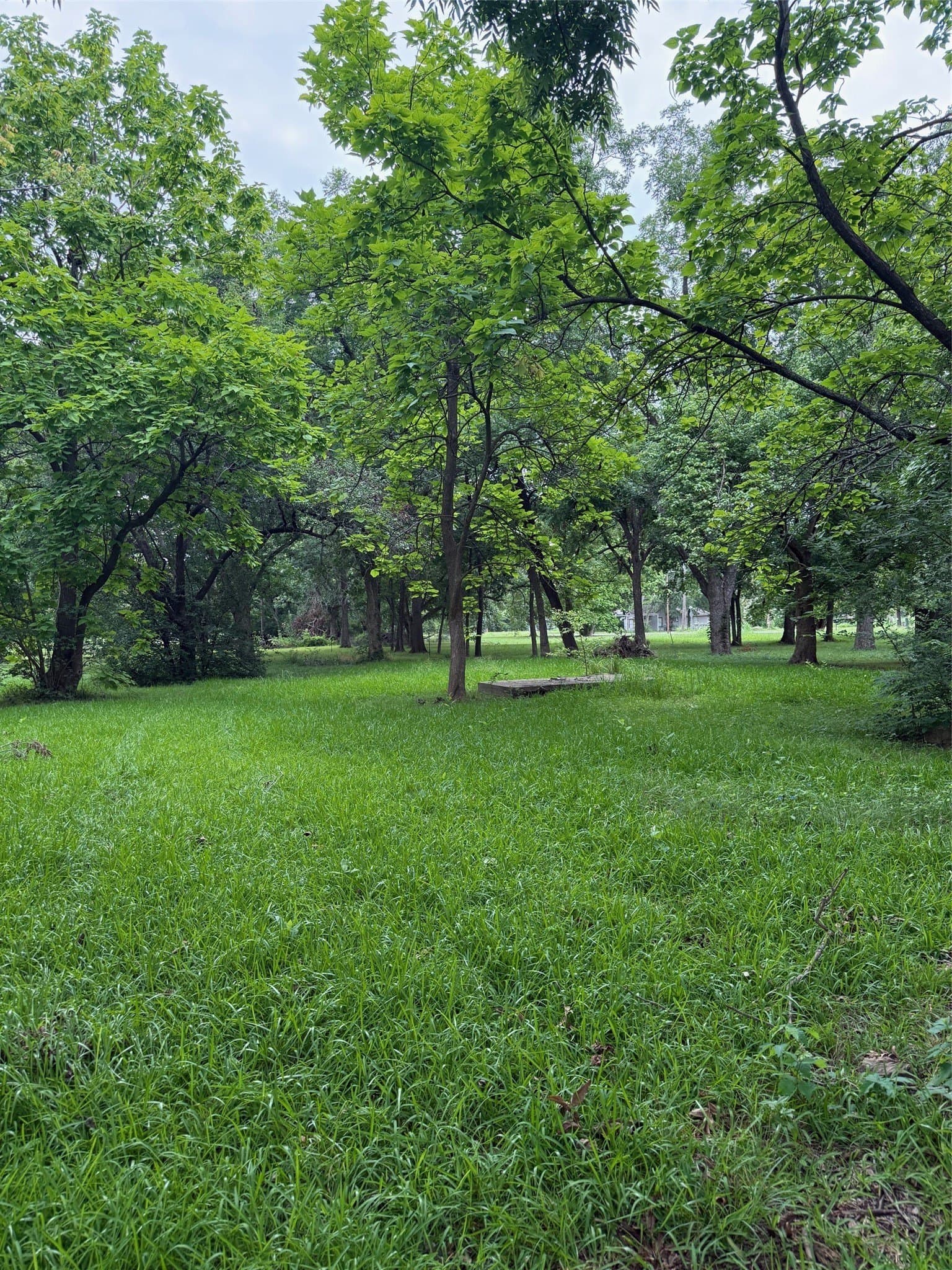 0.51 acres in Fannin County