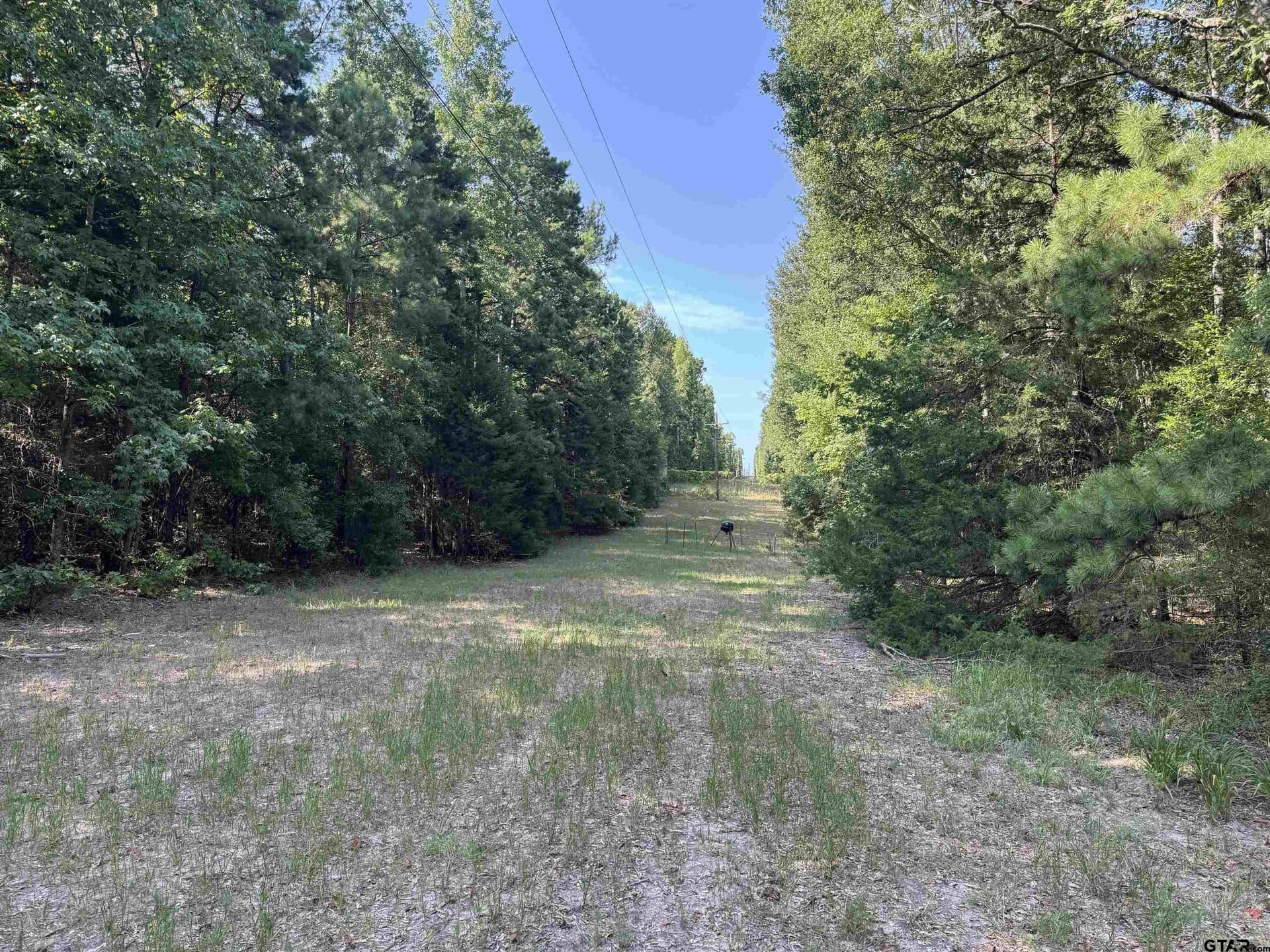 43.65 acres in Anderson County