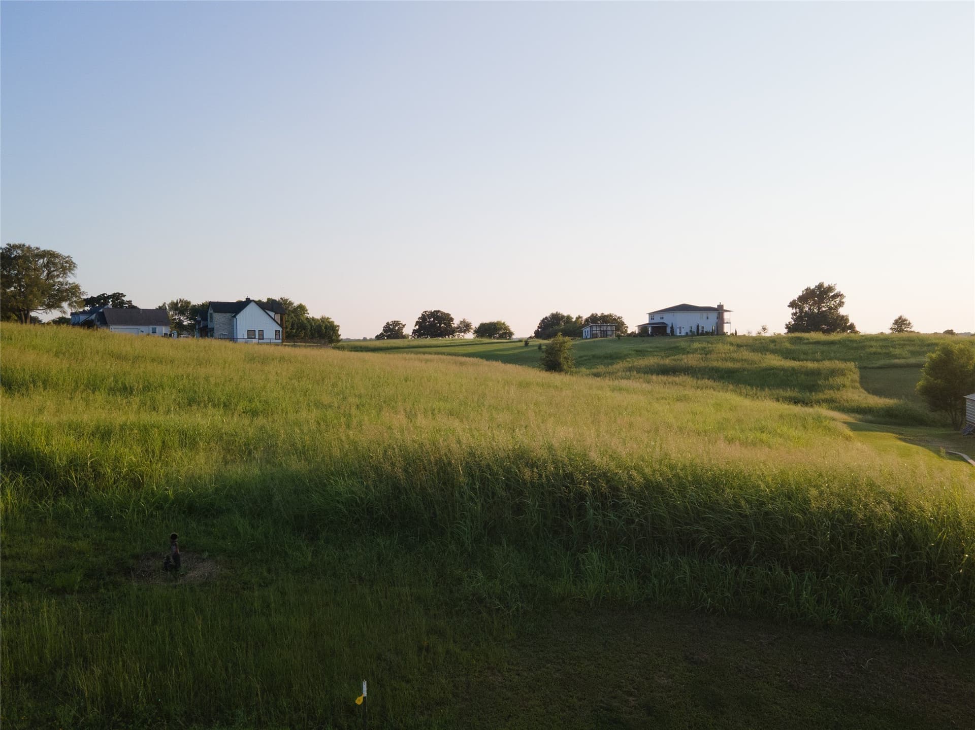 Pine View Court