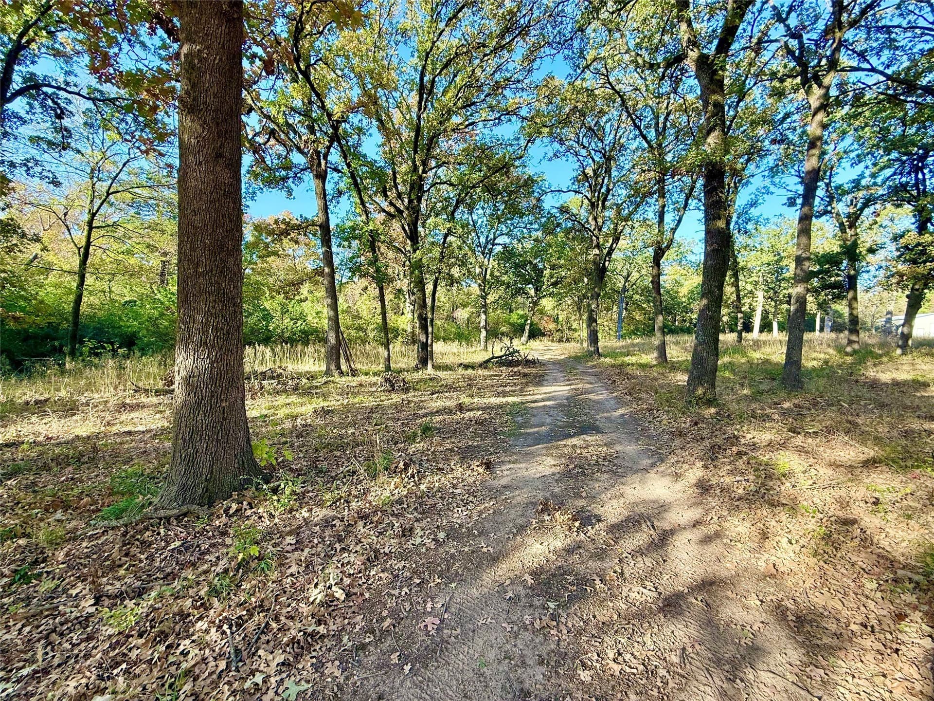 4 acres in Fannin County