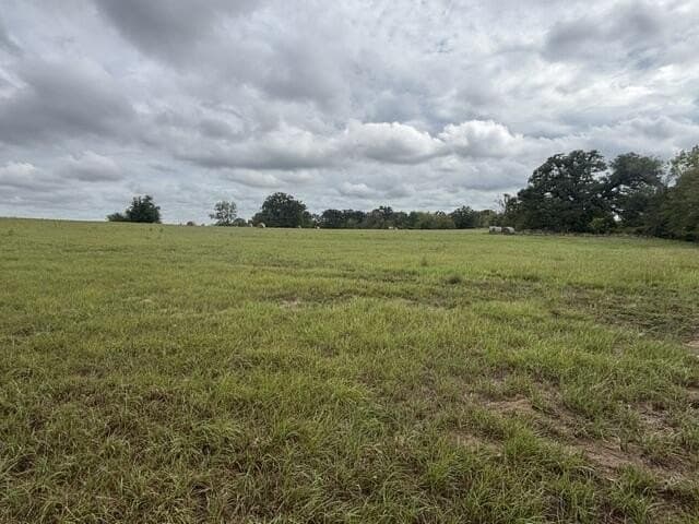 38.44 acres in Henderson County