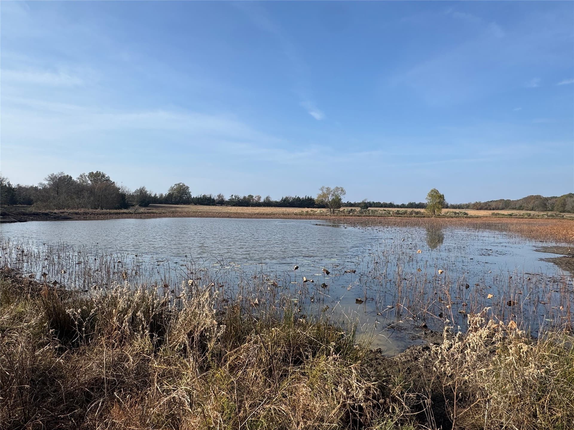 119 acres in Red River (TX) County