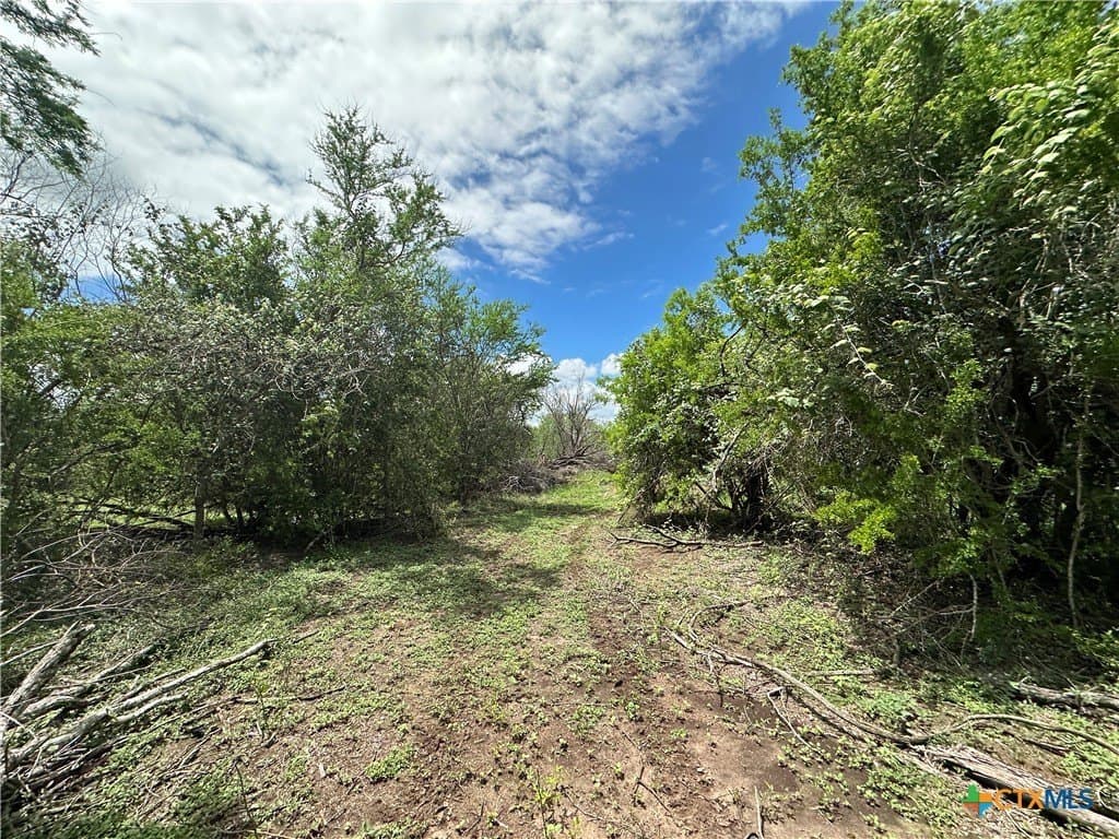 23.71 acres in Victoria County