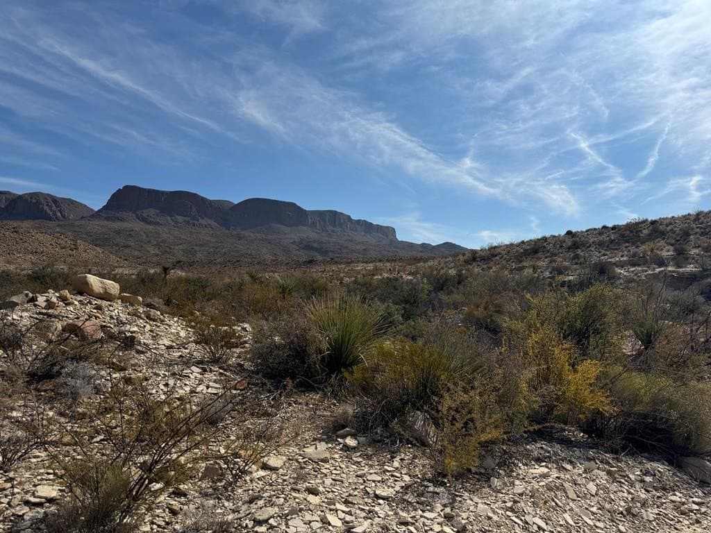 20 acres in Brewster County