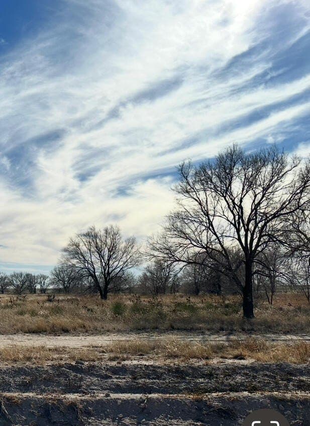 31.33 acres in Bailey County