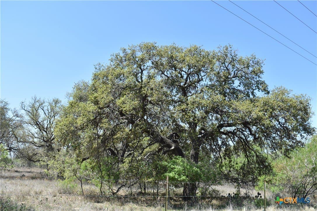40 acres in Atascosa County