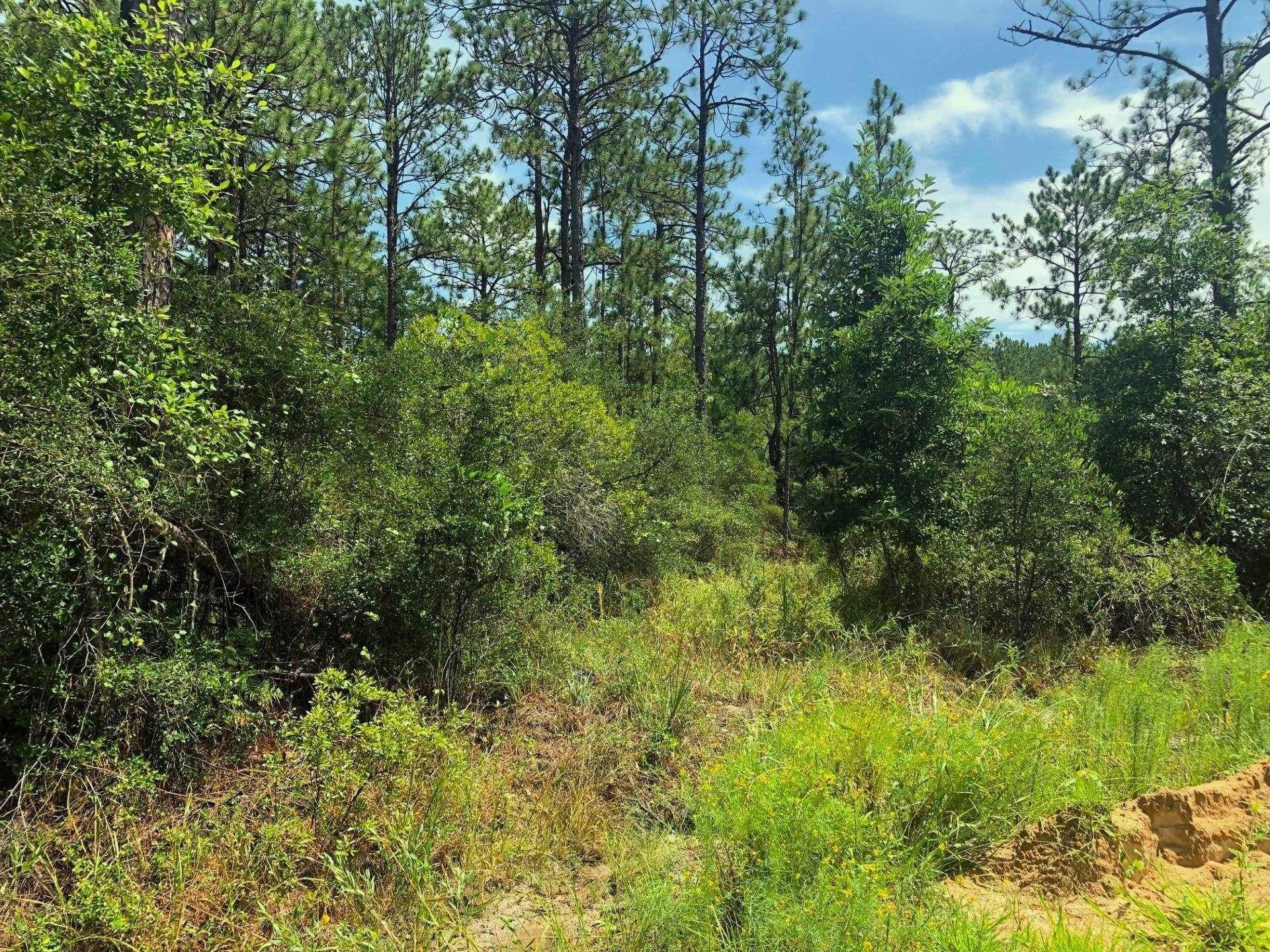 0.26 acres in Texas County