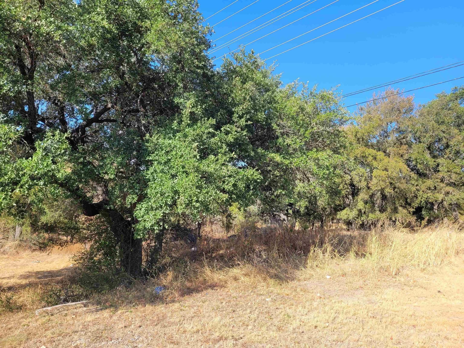 2 acres in Burnet County