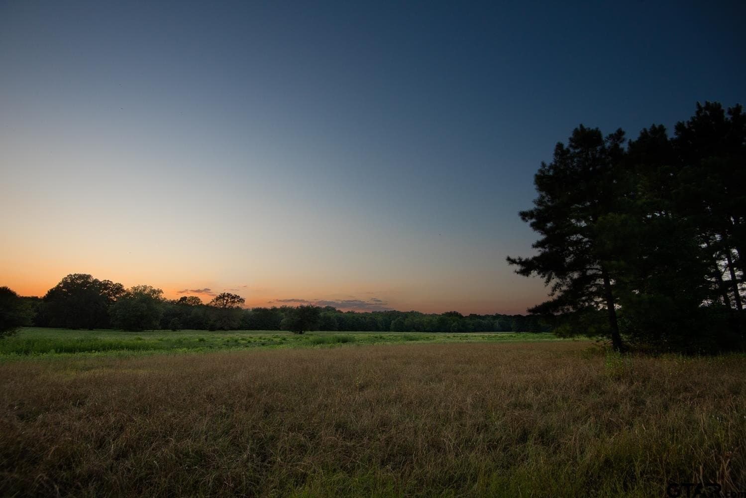 863 acres in Upshur County