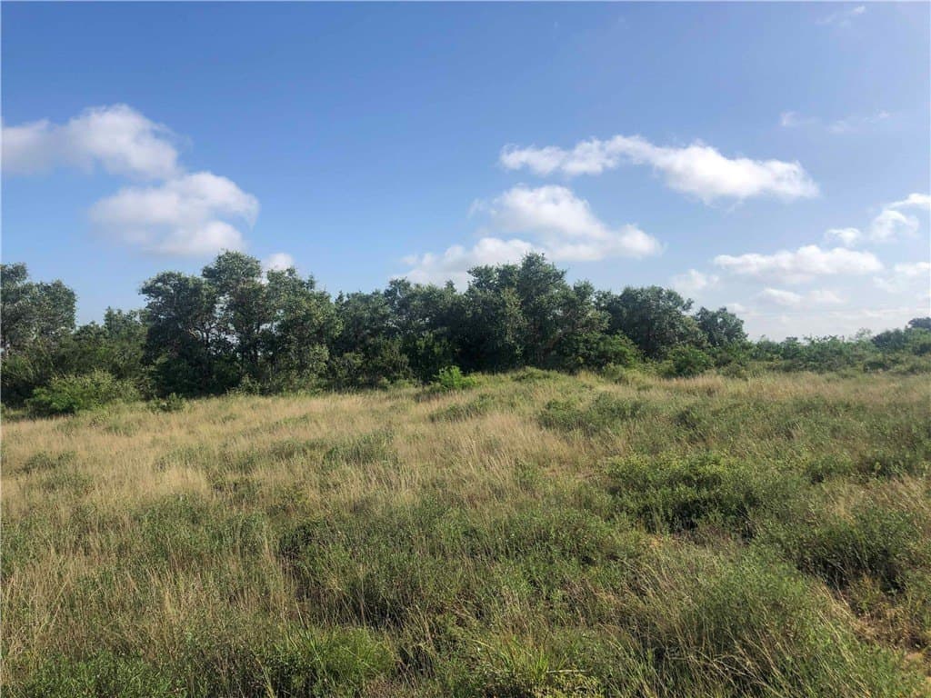 31.5 acres in Bee County