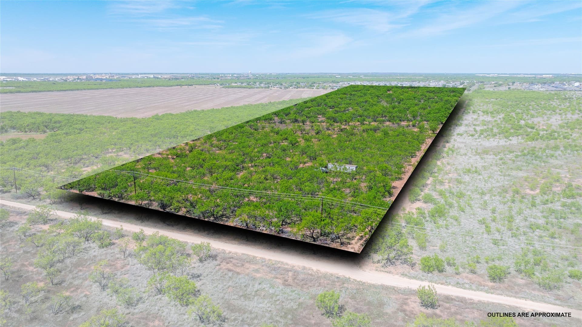 20 acres in Taylor County