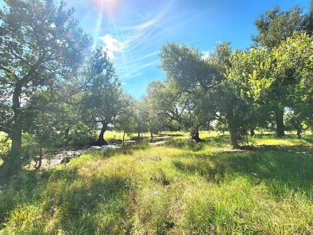 37.07 acres in San Saba County