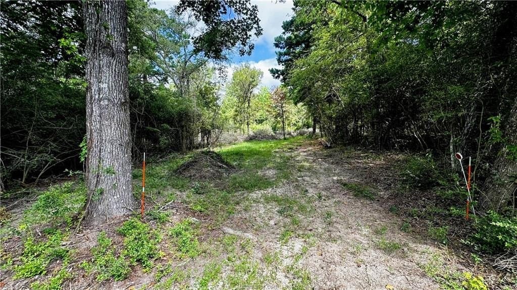 4.2 acres in Leon County