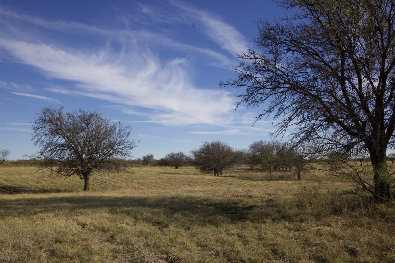 87 acres in Young County