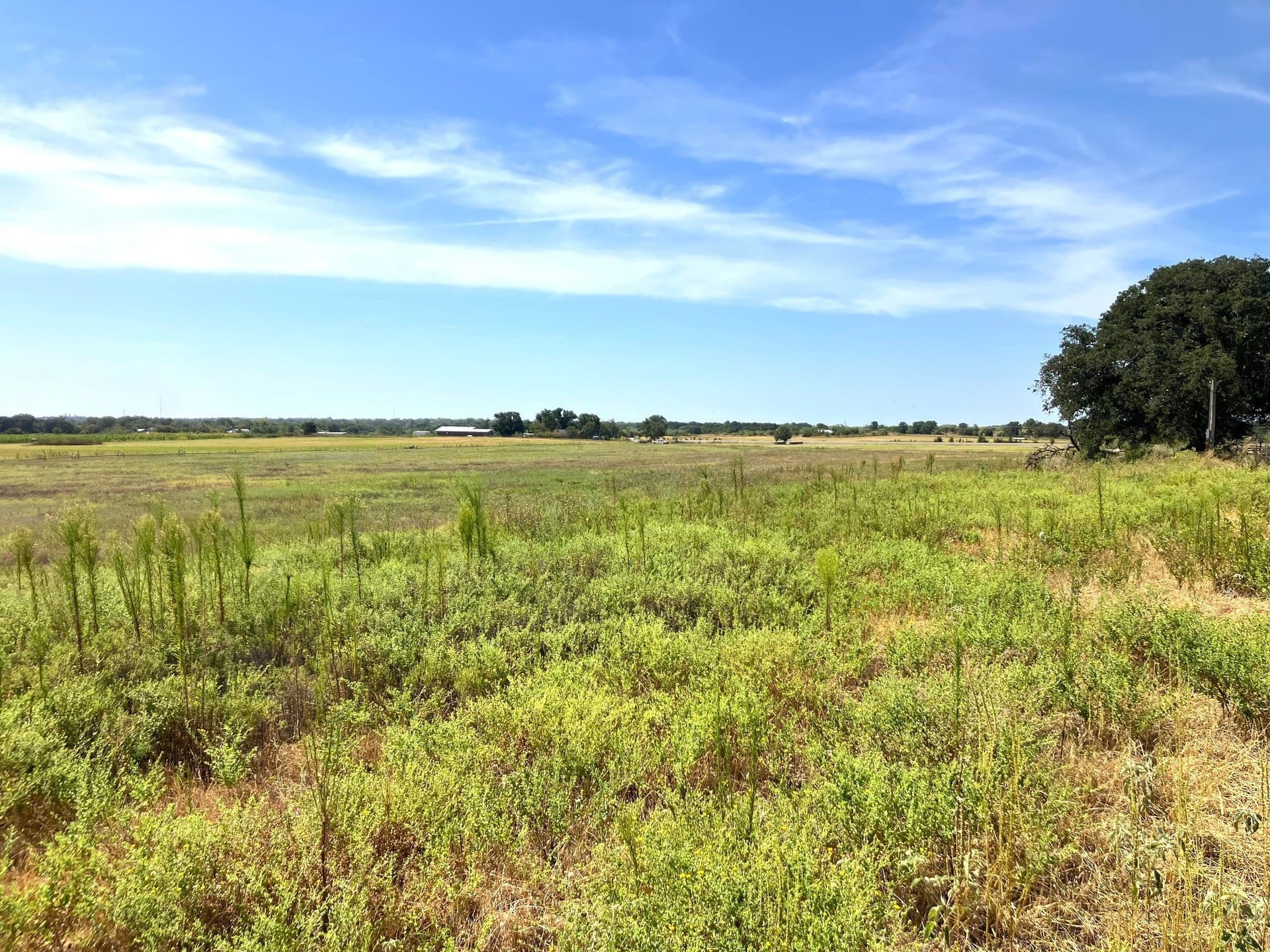 25.49 acres in Comanche County