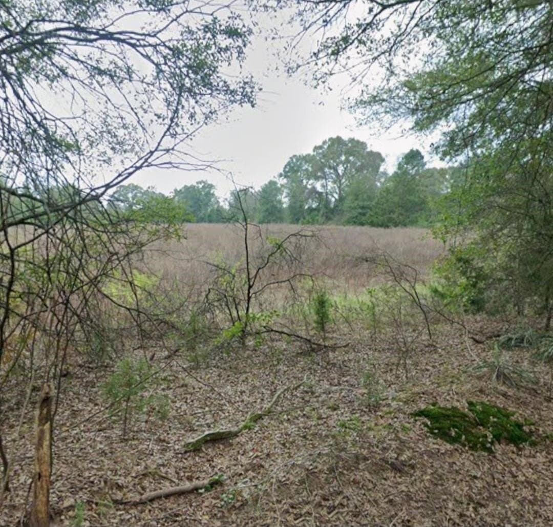 8.1 acres in Texas County