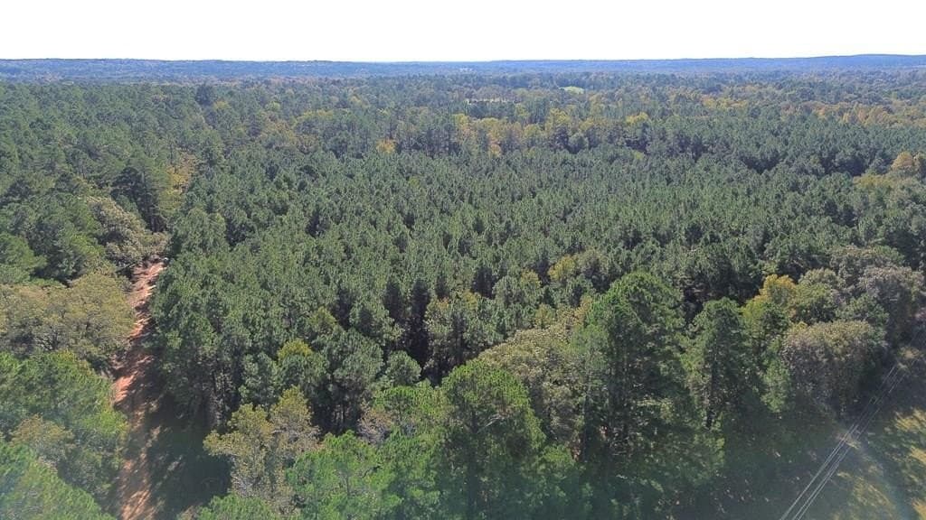 23.31 acres in Texas County