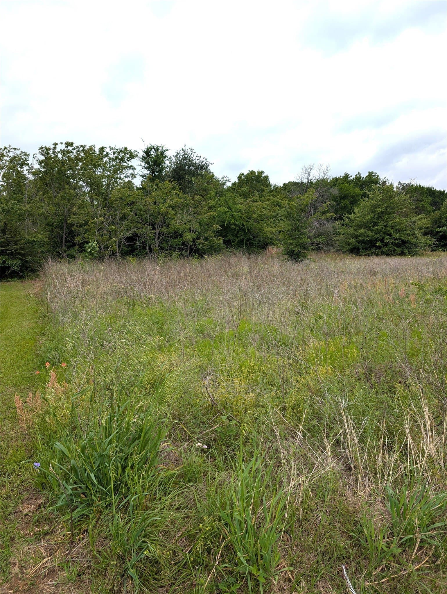 0.35 acres in Henderson County