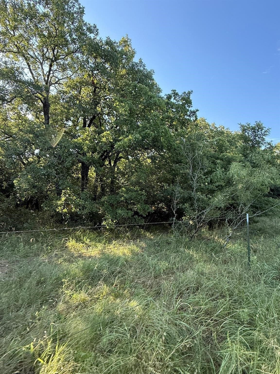 23.56 acres in Montague County