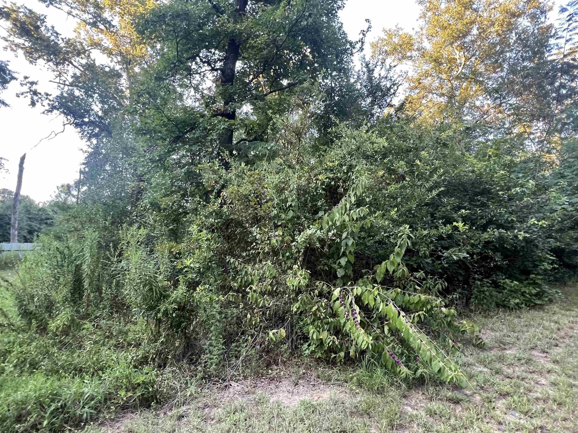 0.26 acres in Upshur County