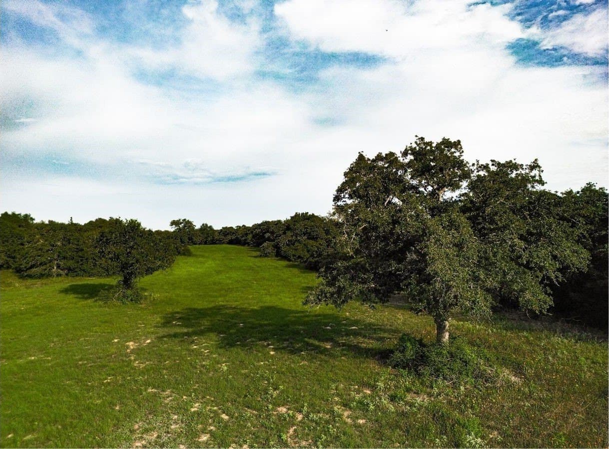 53.76 acres in Milam County