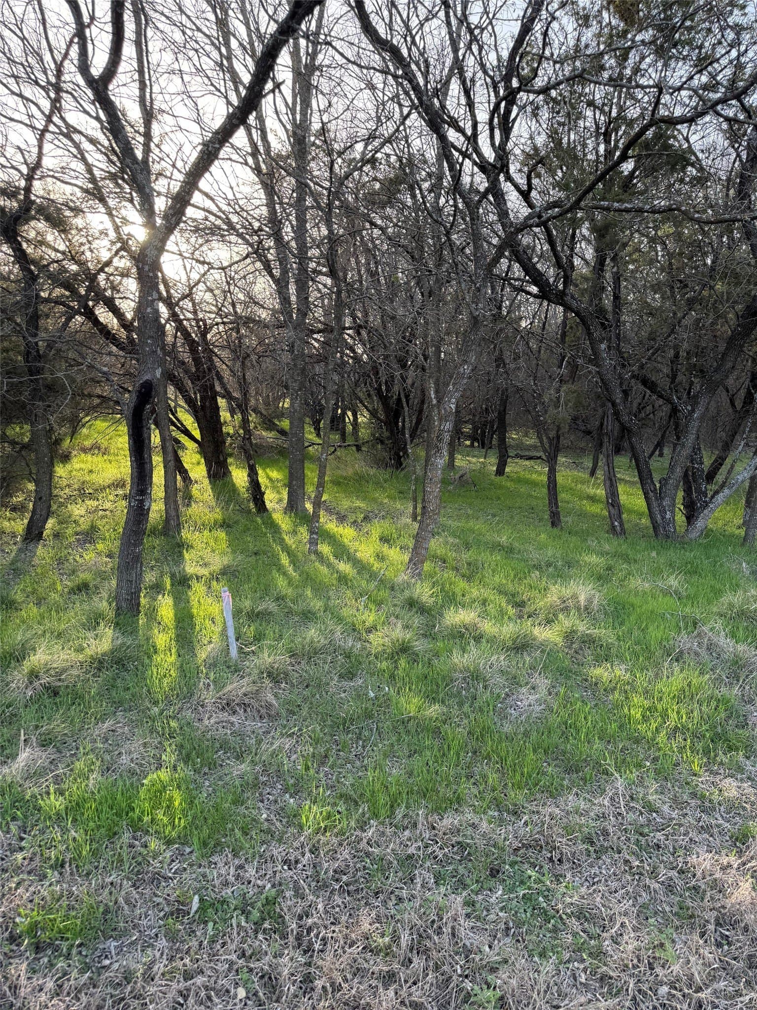 0.35 acres in Hill County