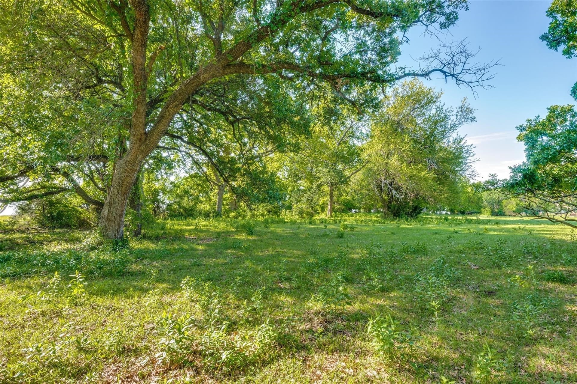 61.89 acres in Grayson County