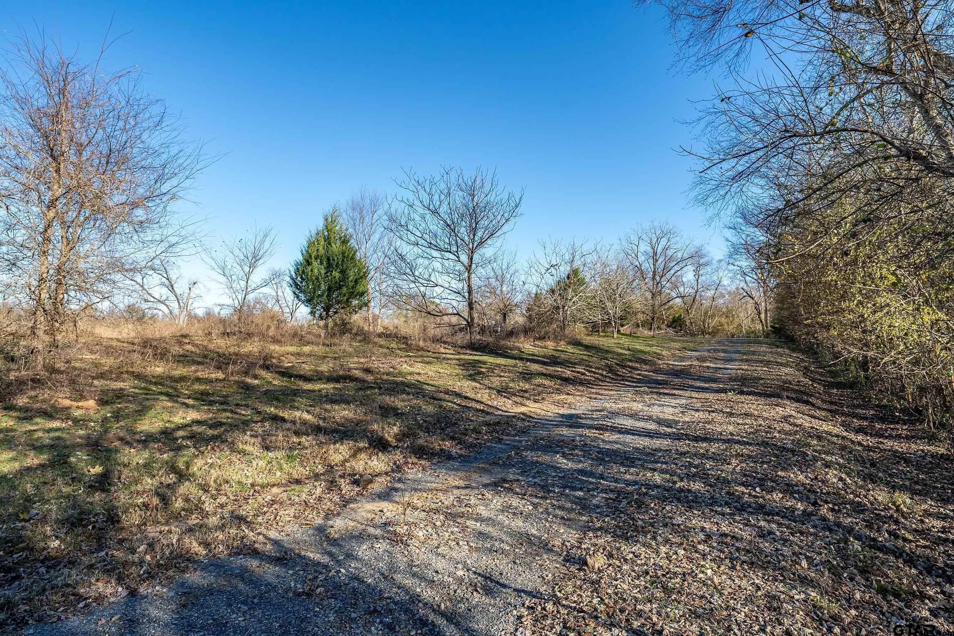 30.93 acres in Smith County