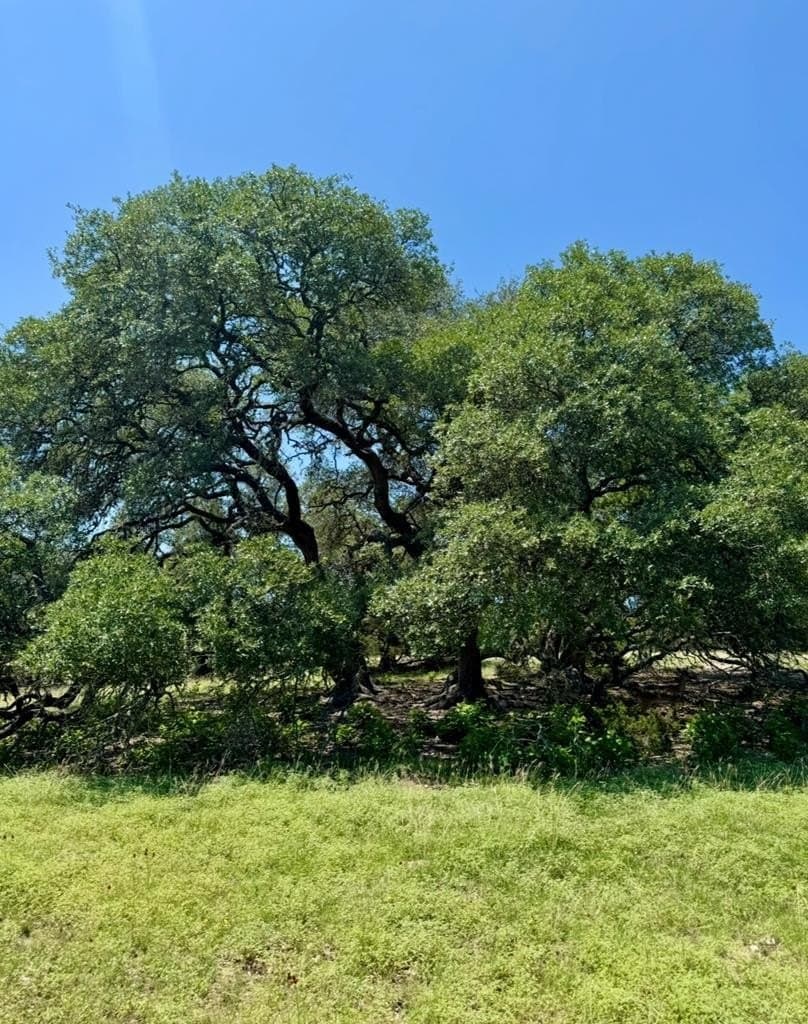 14.93 acres in Kendall County