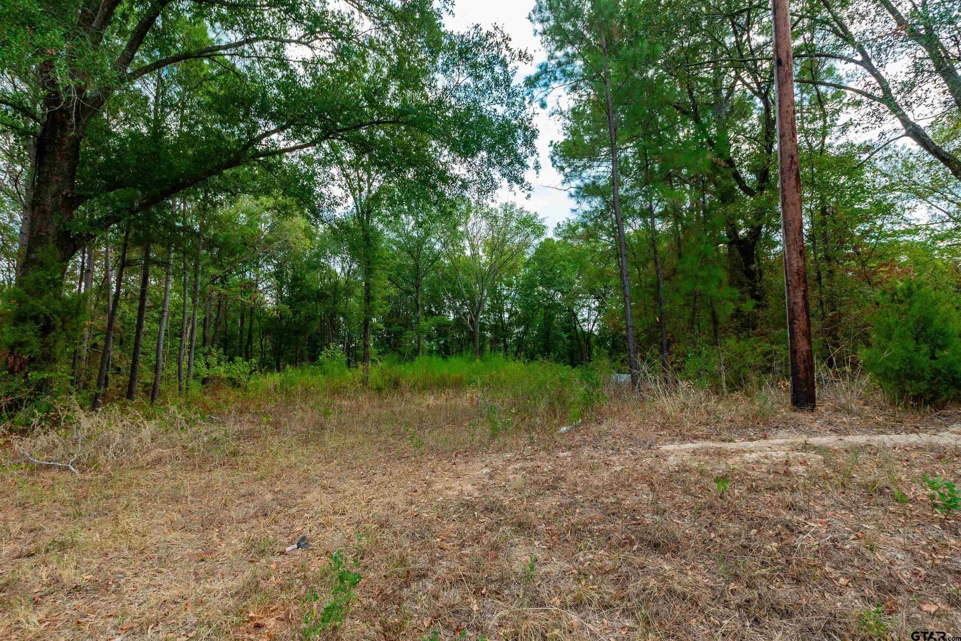 10 acres in Upshur County
