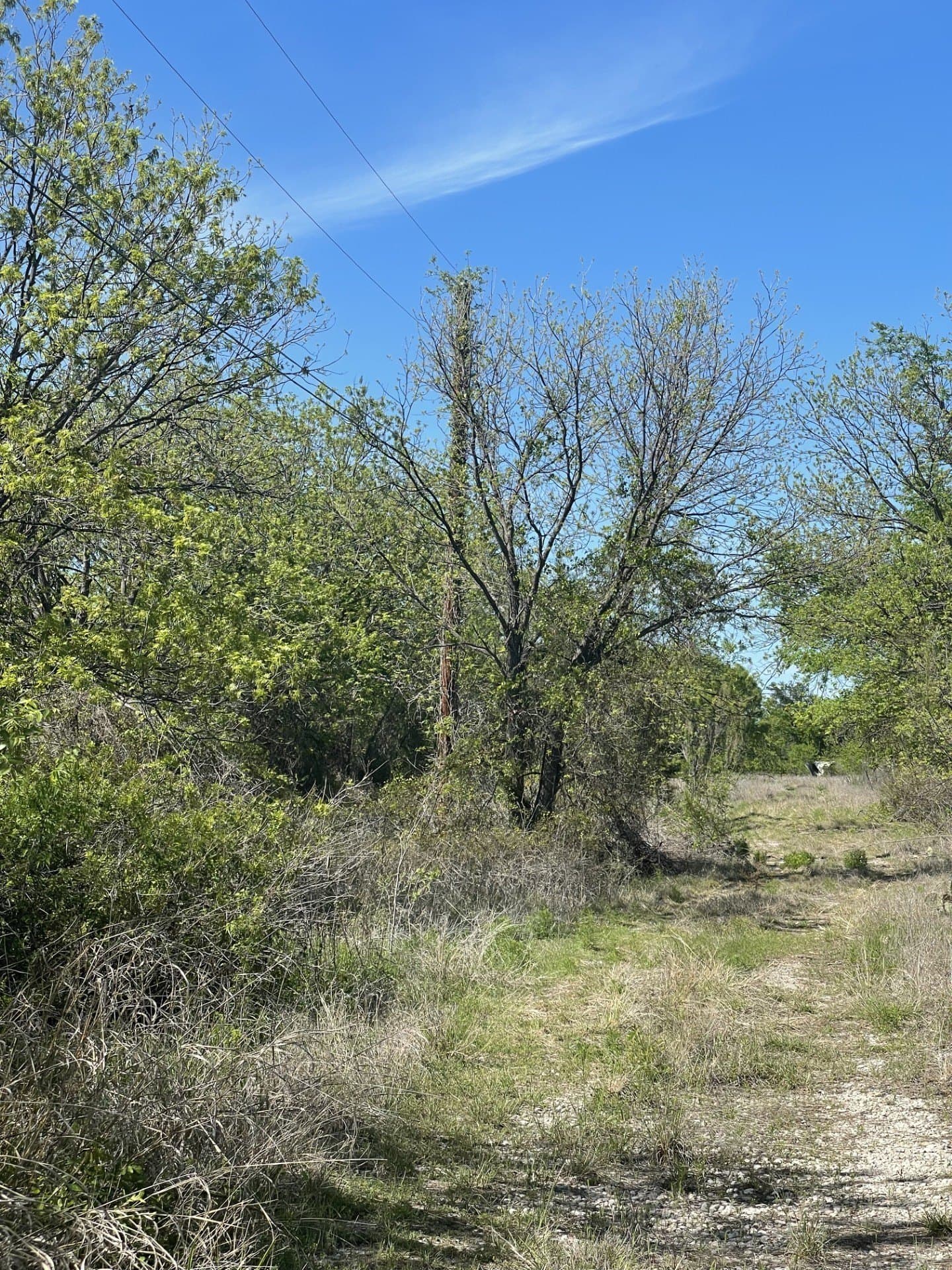 26.25 acres in Brown County