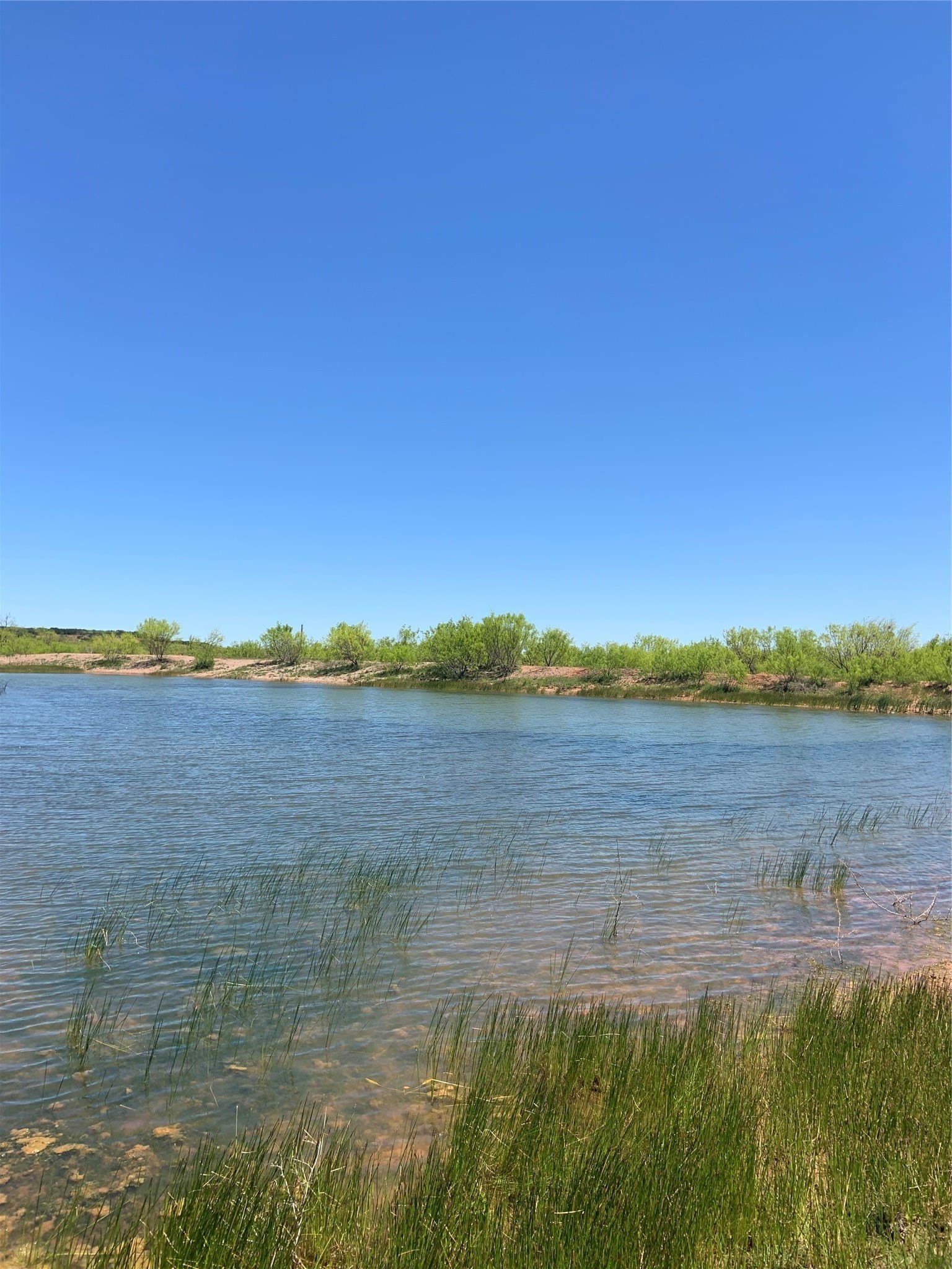 80.99 acres in Coleman County