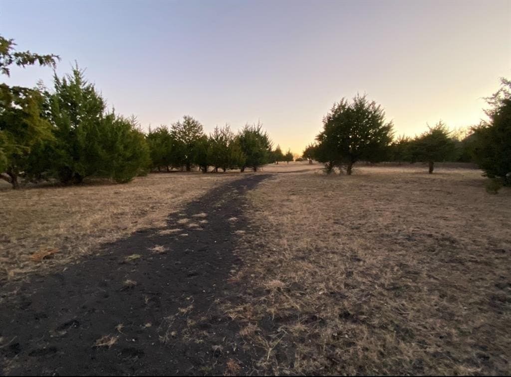 15.5 acres in Hunt County