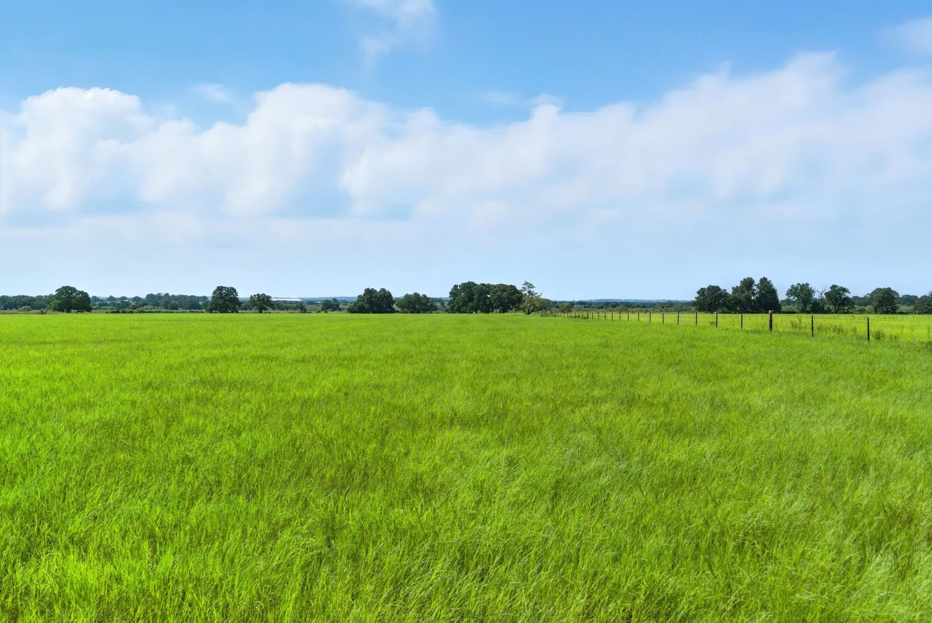 20 acres in Palo Pinto County