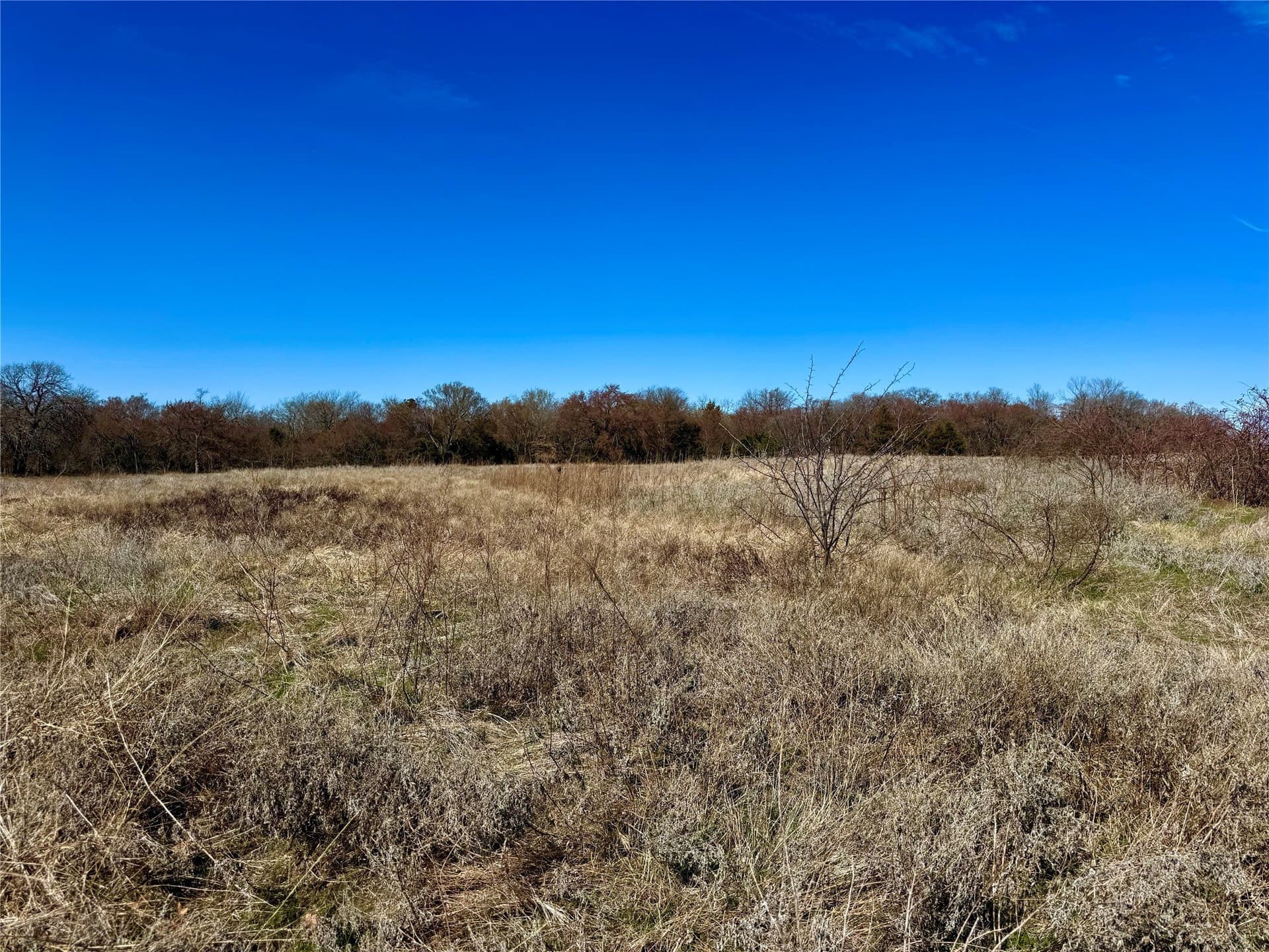 39.4 acres in Grayson County