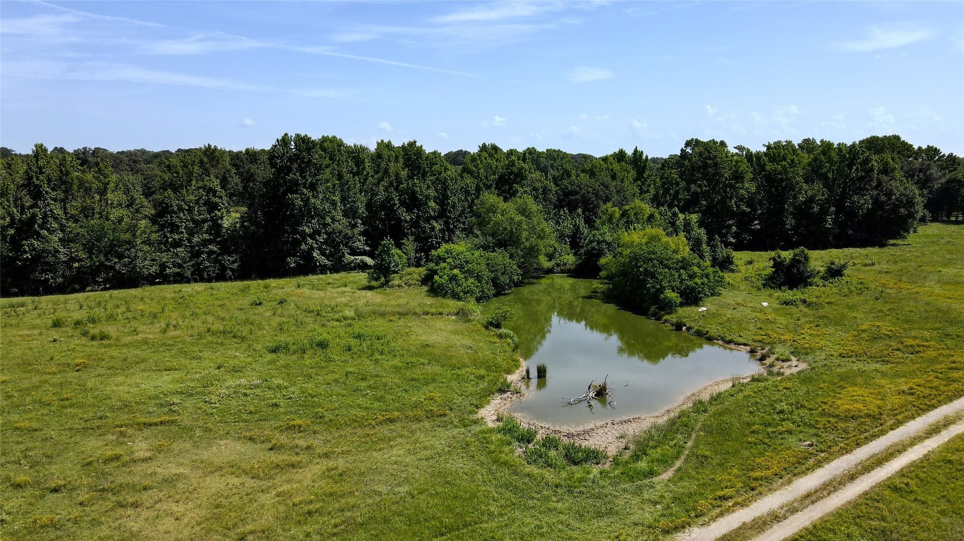 48.64 acres in Henderson County