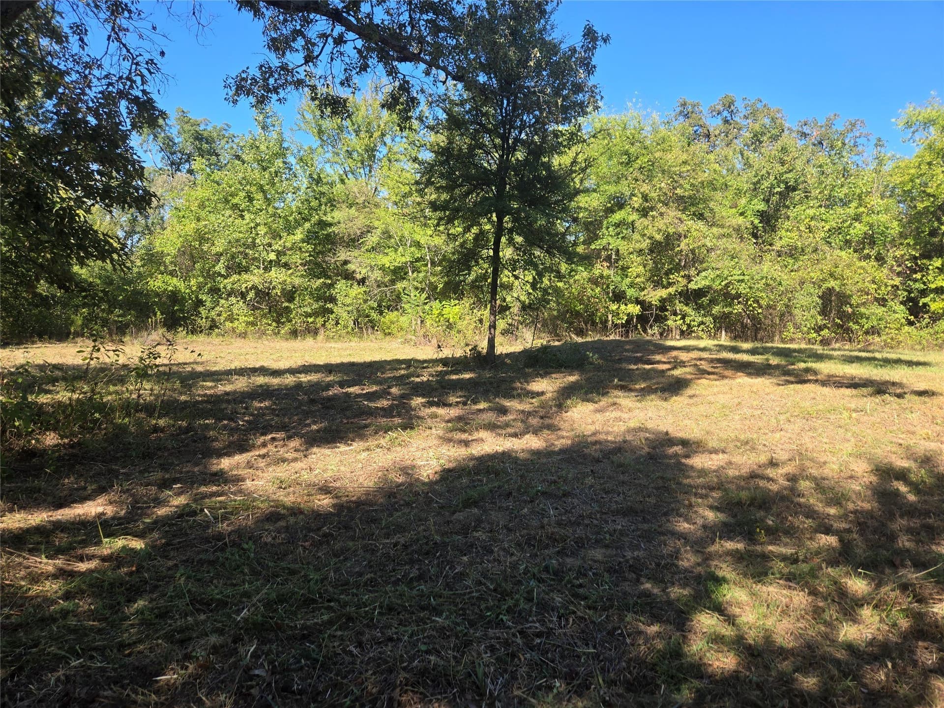532 County Road 1780