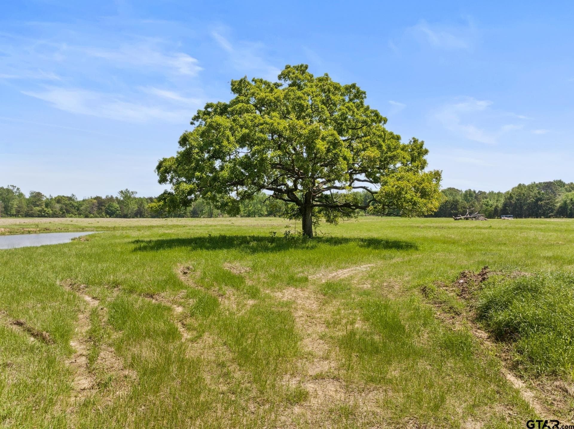 10 acres in Camp County