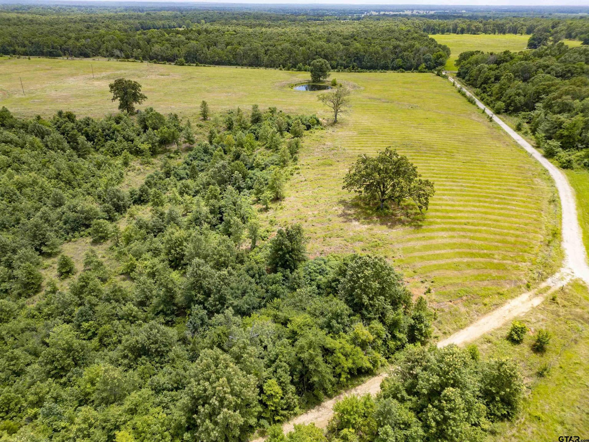 37 acres in Titus County