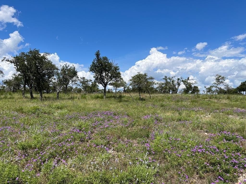 10.1 acres in Gillespie County