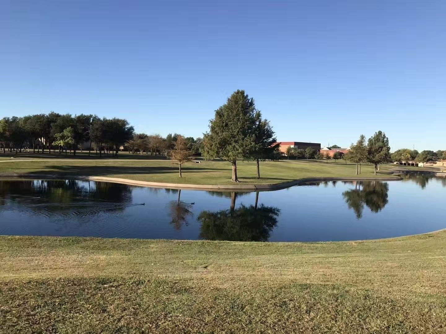 10.2 acres in Dallas County