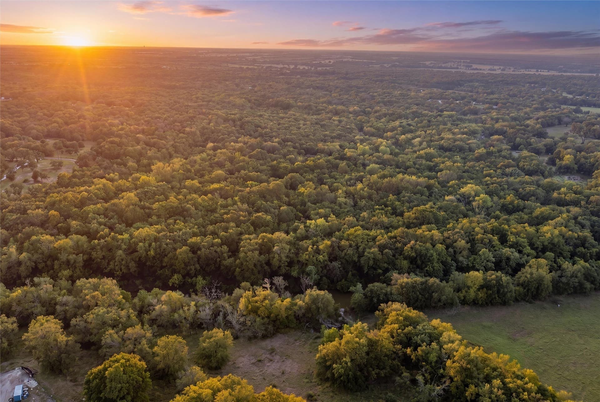 65.35 acres in Limestone County