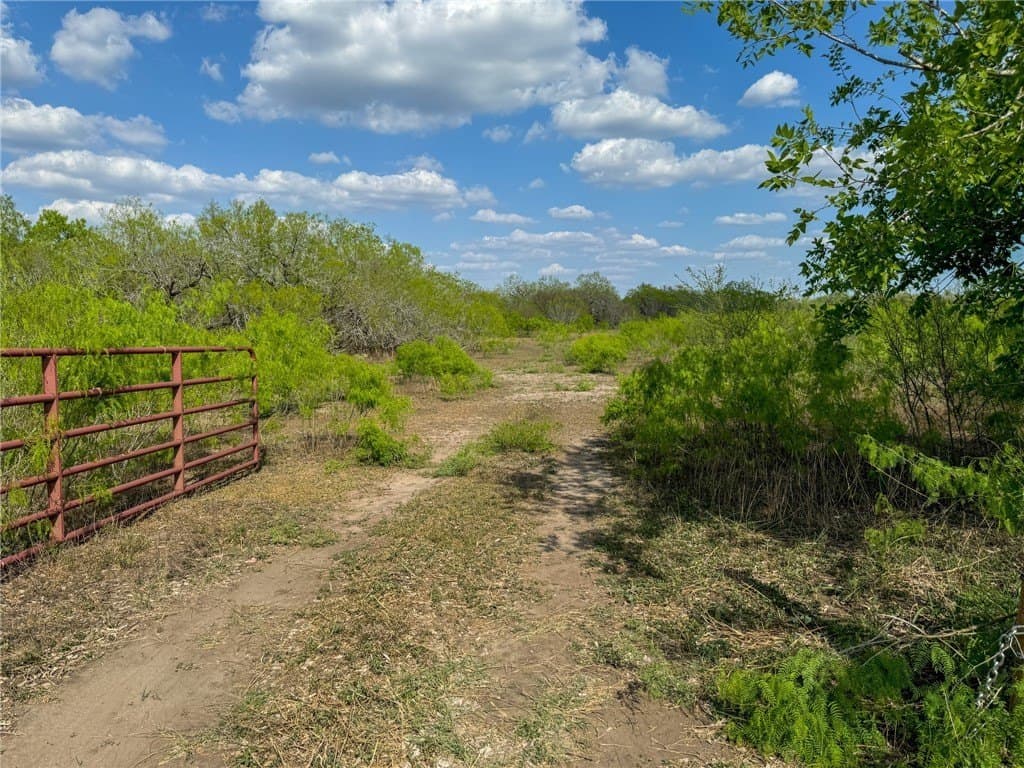 10 acres in Bee County