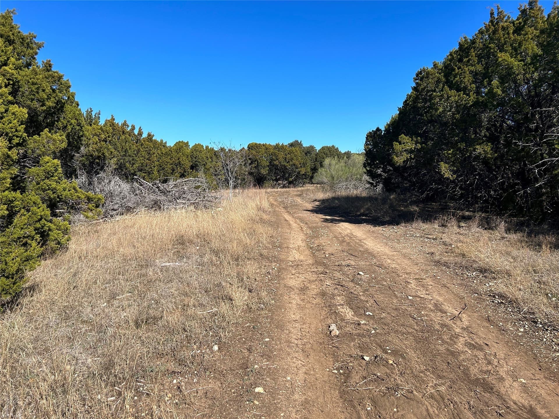 10 acres in Hill County