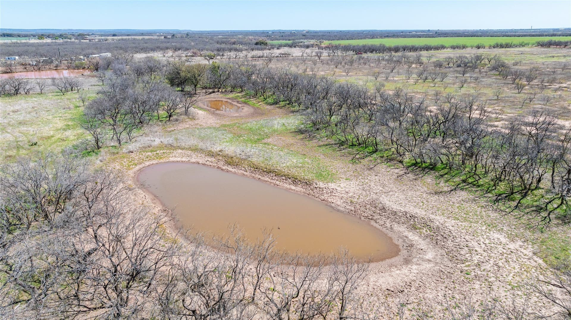 84.5 acres in Taylor County