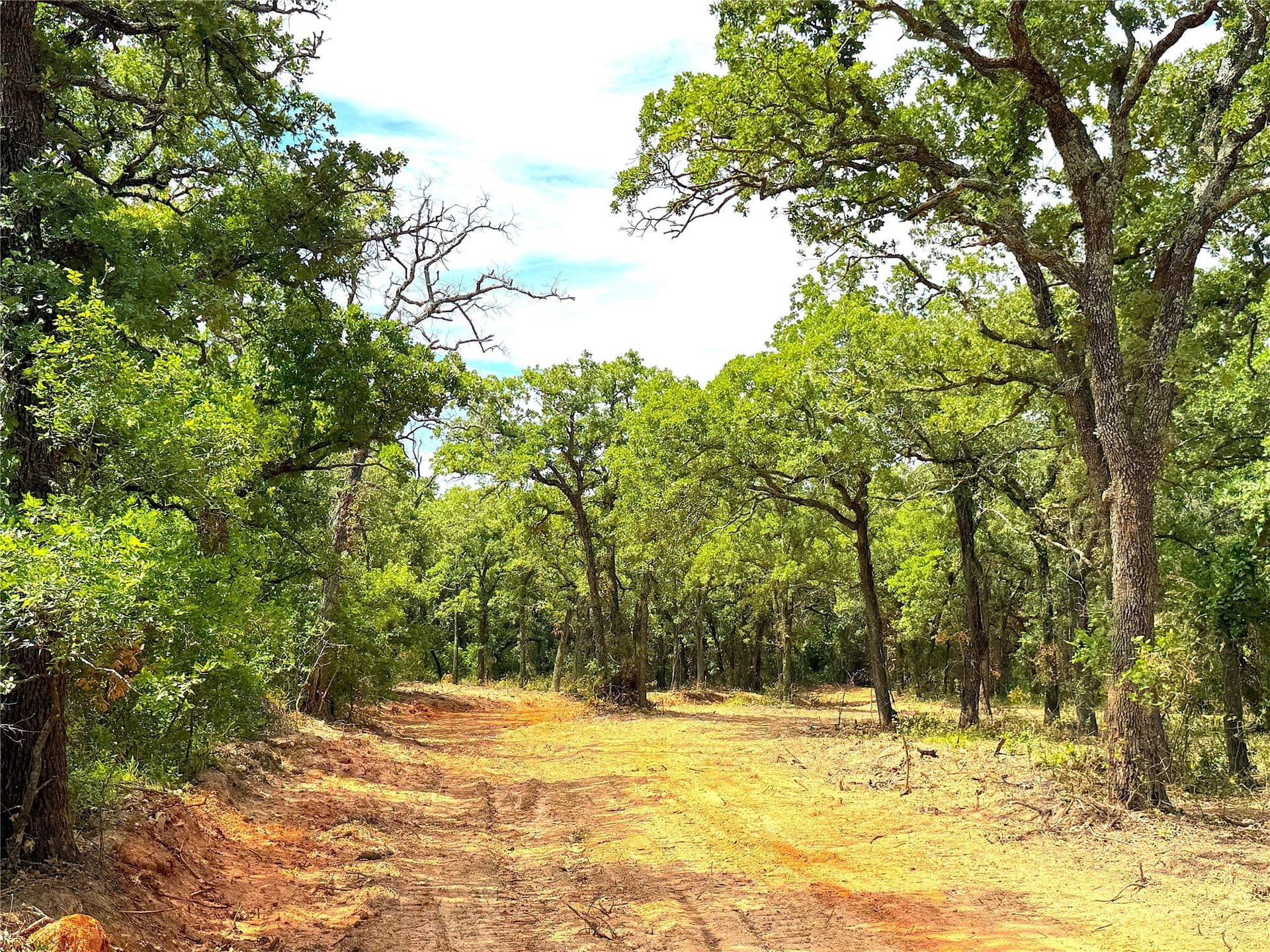 55 acres in Parker County