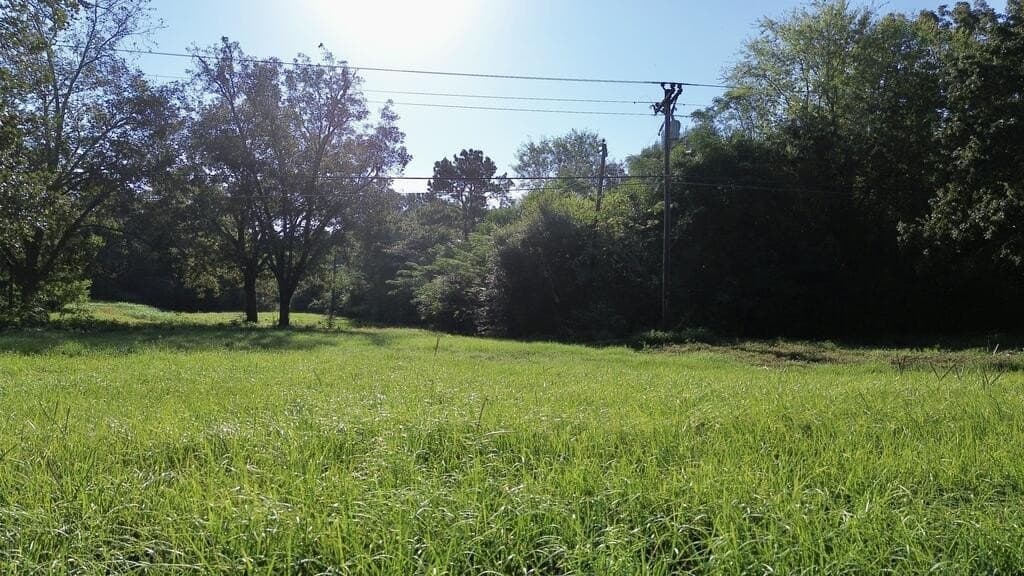 18.1 acres in Texas County